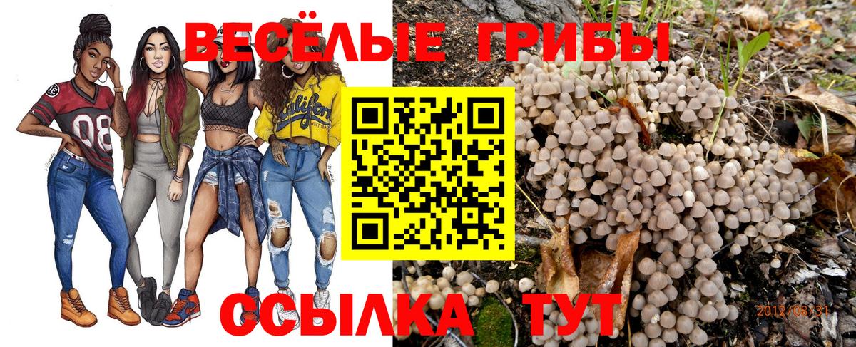 Архангельск  Галлюциногенные грибы GOLDEN TEACHER  Галлюциногенные грибы ЛСД  Вход с VPN 