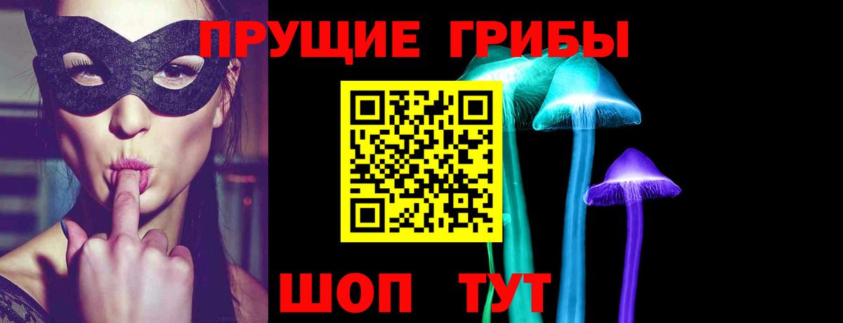 Псилоцибиновые грибы Psilocybine cubensis Архангельск
